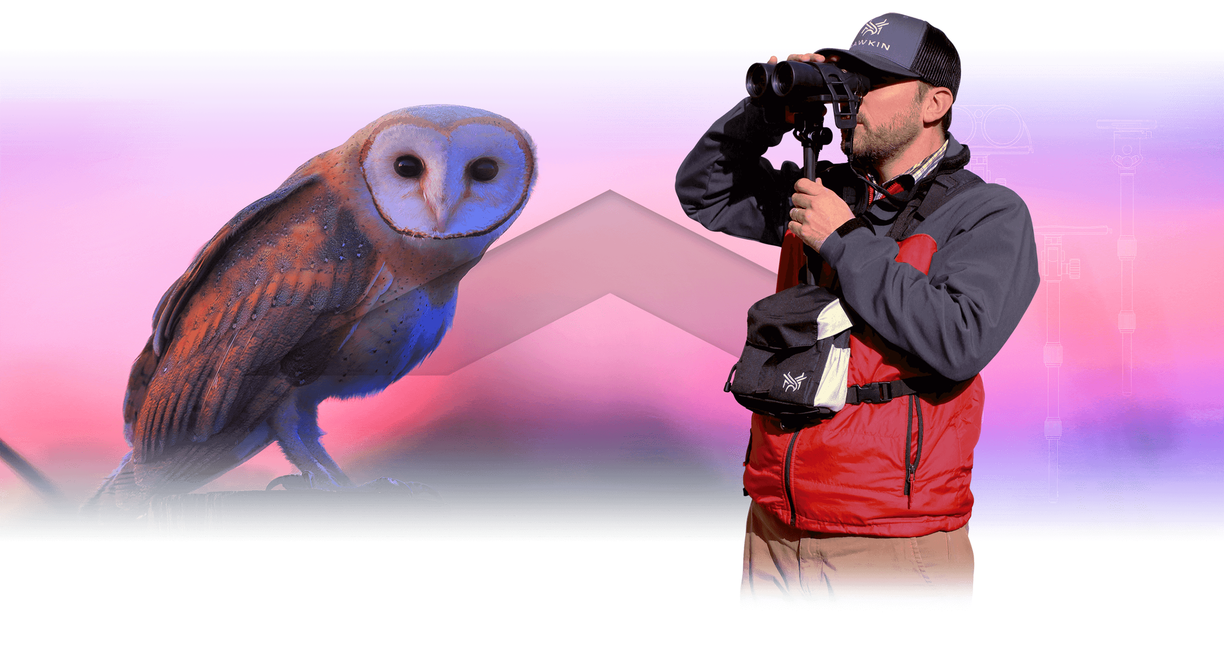 Homepage slide for Hawkin Birding - Billings, Montana