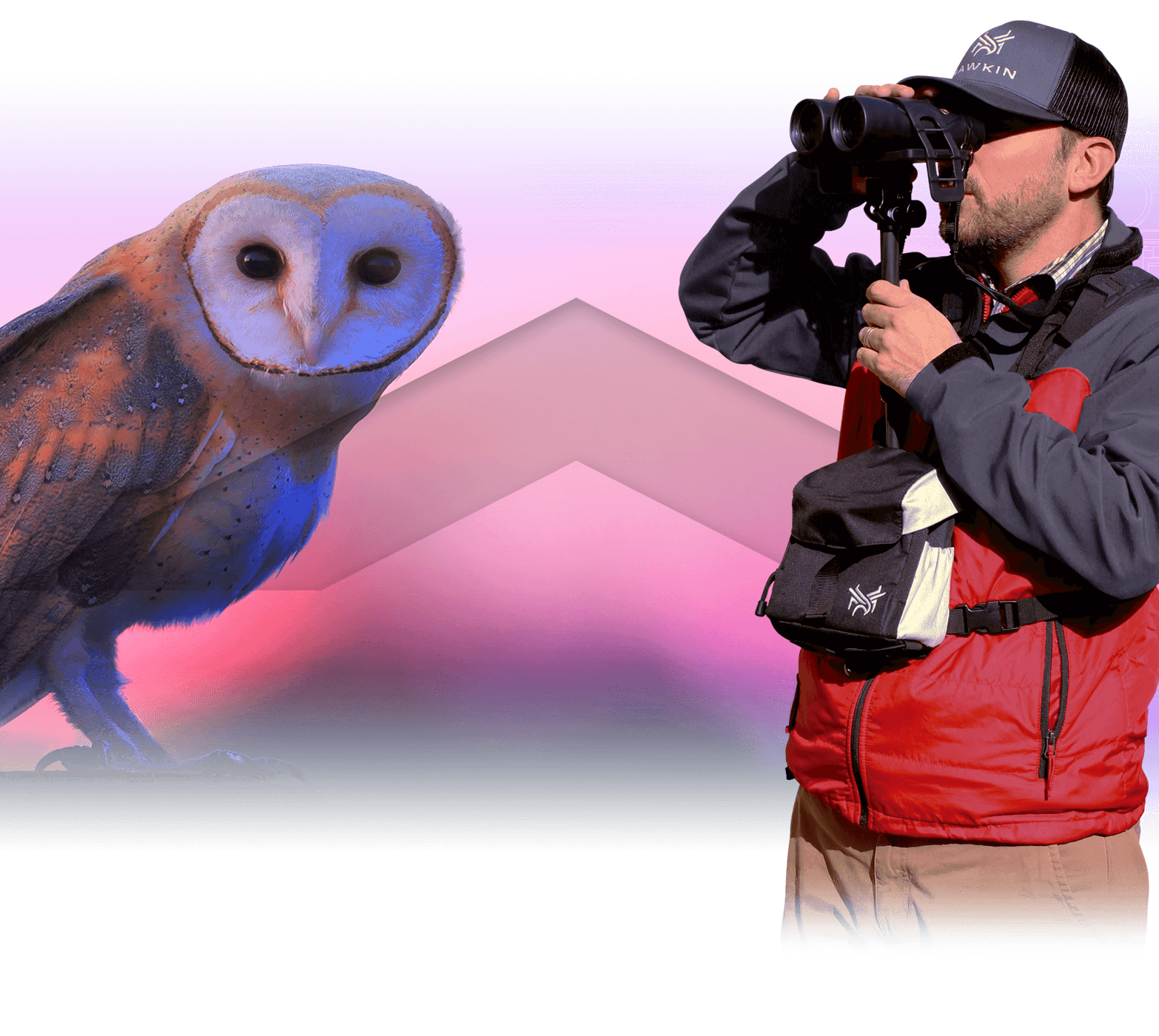 Homepage slide for Hawkin Birding - Billings, Montana