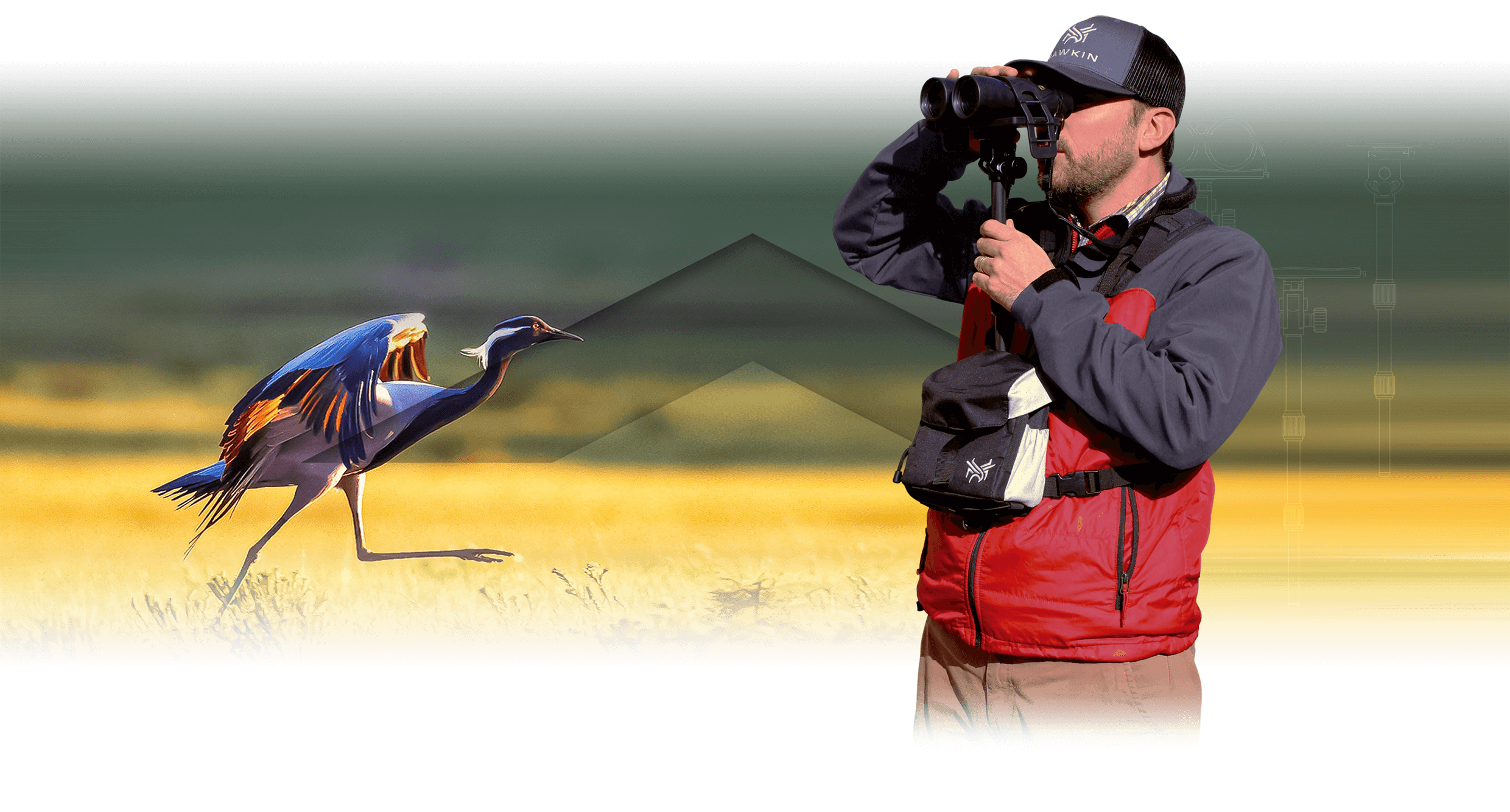 Homepage slide for Hawkin Birding - Billings, Montana