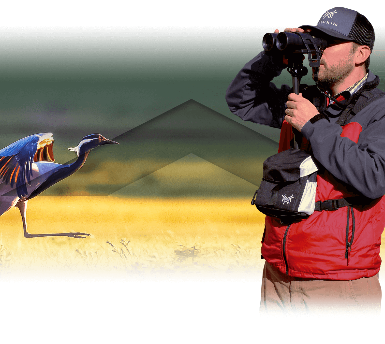 Homepage slide for Hawkin Birding - Billings, Montana